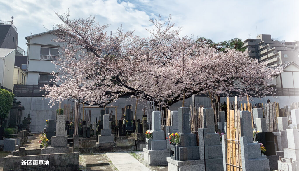 松源寺　新区画墓地